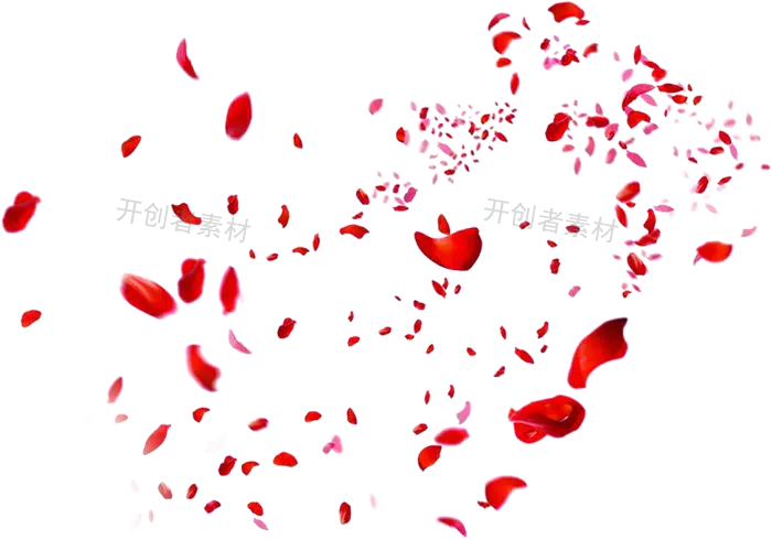飘落的红色玫瑰花瓣png素材